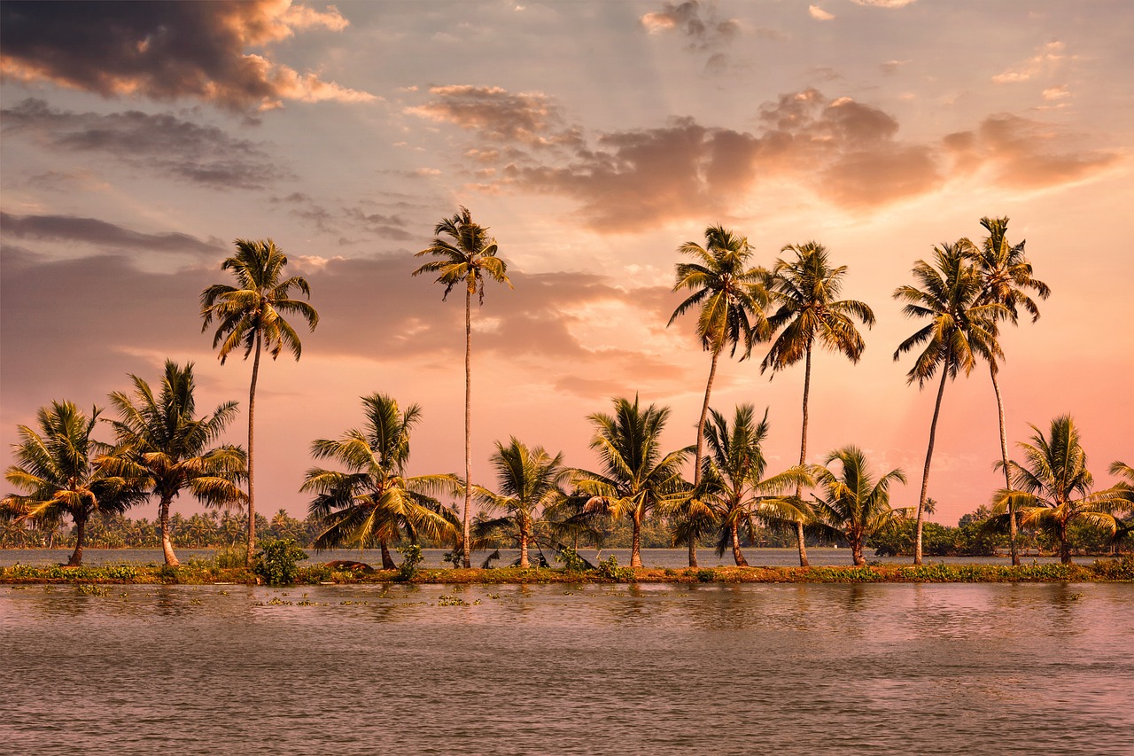 Serene Backwaters and Village Life in Kumarakom